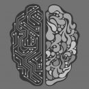 Deep Learning macht den Computer zum künstlichen Gehirn (Quelle: Sean Batty, Pixabay)