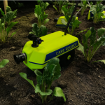 Roboter zur Untersuchung von Pflanzen // Quelle: Timo Brauer