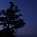 Satelliten des Projekts Starlink erscheinen am Nachthimmel