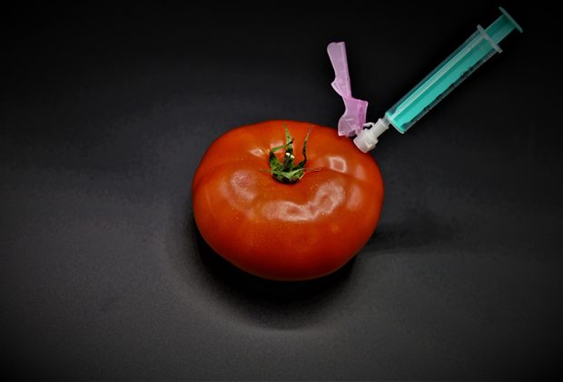 Das Bild zeigt eine Tomate in die eine Spritze gesteckt ist.