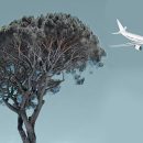 Teaserbild, Baum mit Flugzeug