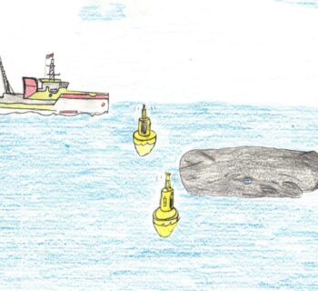 High-Tech-Bojensystem schützt Wale