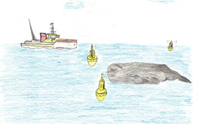 High-Tech-Bojensystem schützt Wale