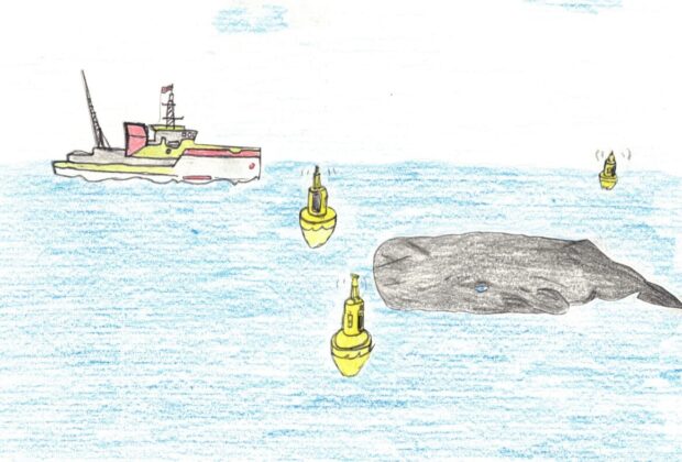 High-Tech-Bojensystem schützt Wale